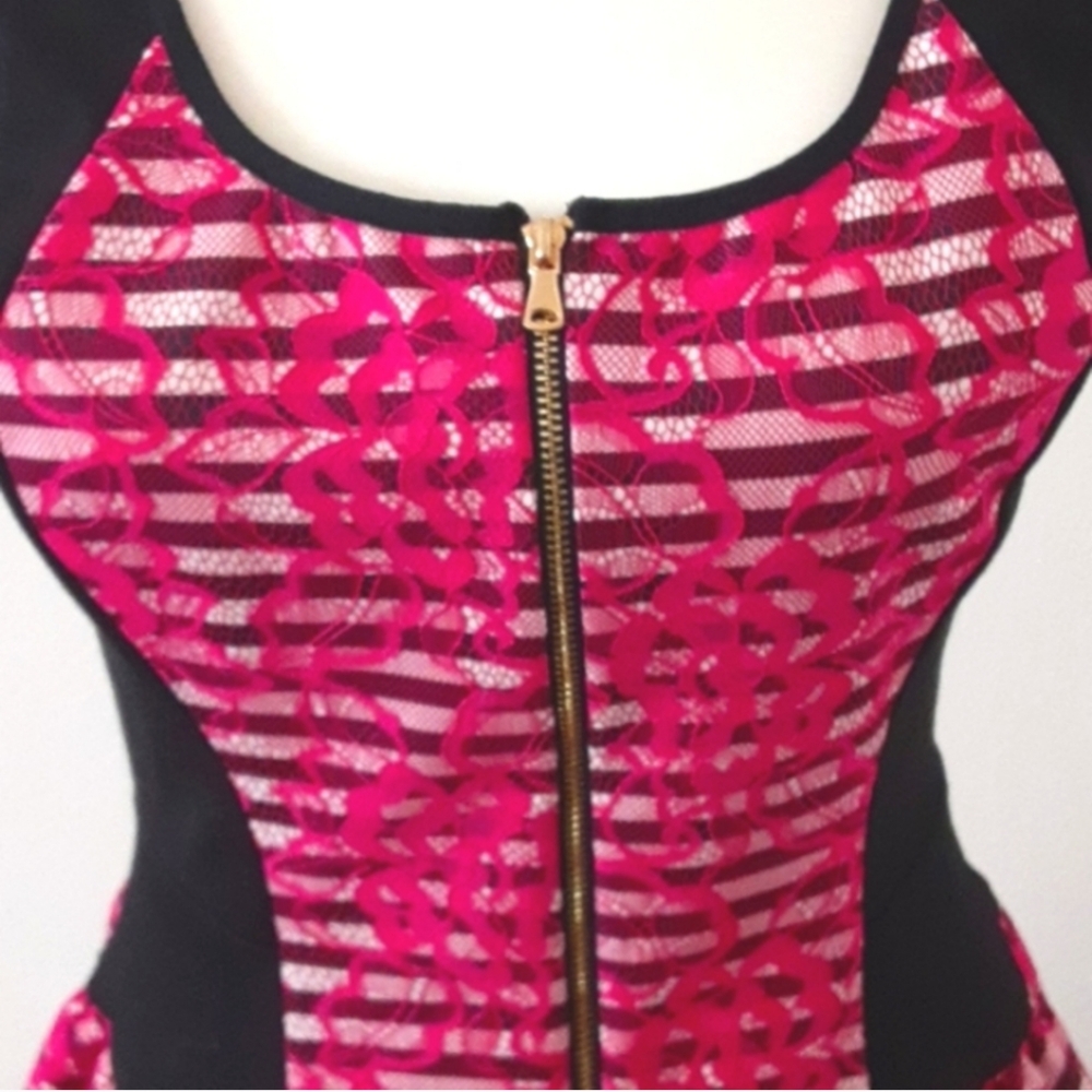 Amanda Uprichard Nadia Lace Skater Dress Pink Striped Gold Zip Fit & Flare M - Picture 2 of 7